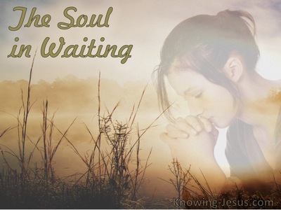 The Soul In Waiting